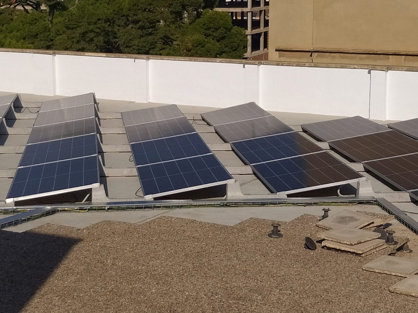 Blue Tree Group  - Valencia - España