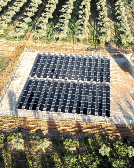 Parco Agrisolare 2026: il fotovoltaico diventa un investimento strategico per le imprese agricole